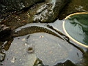 2007-05-10 043.JPG